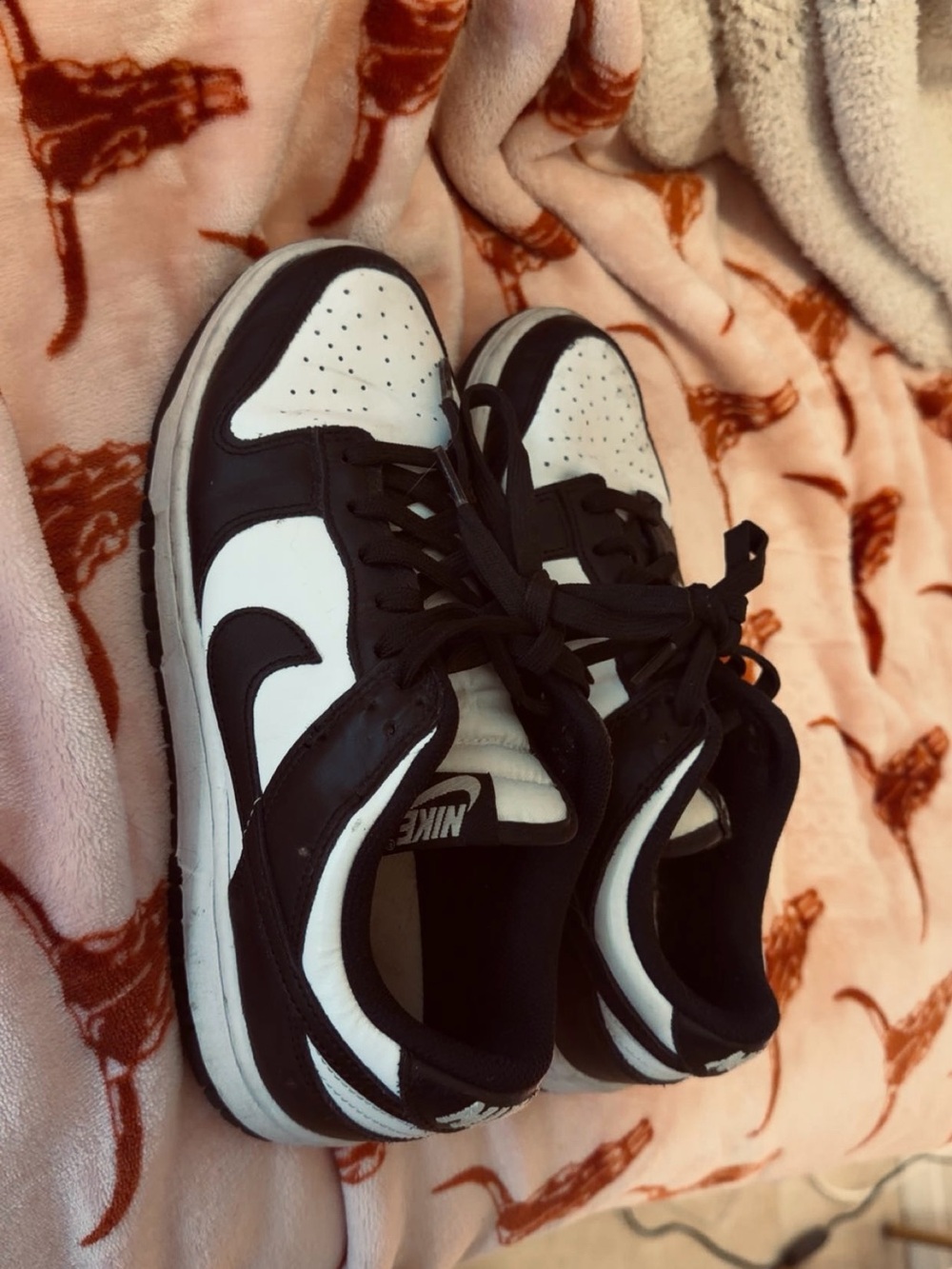 Nike Black and White Low-Top Sneakers with Swoosh